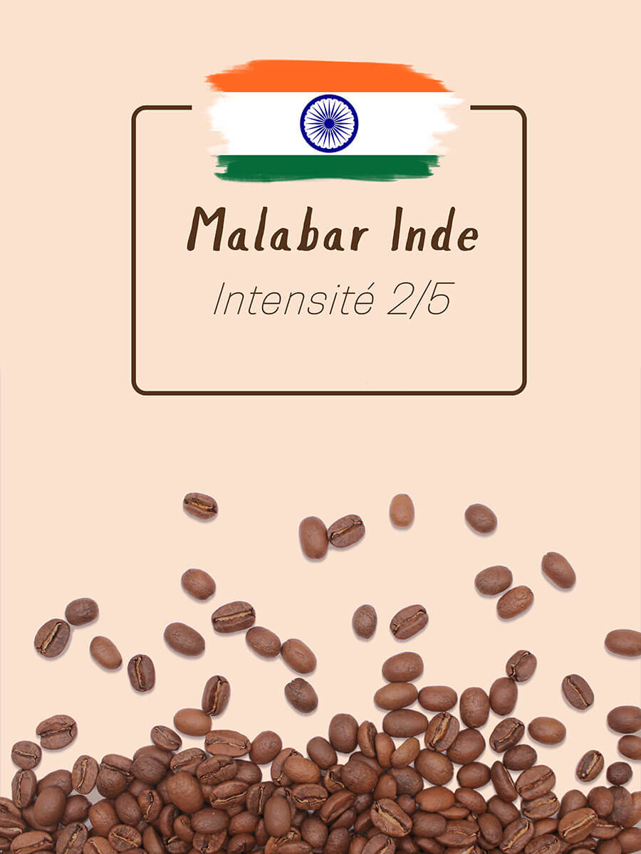 Café - Inde Malabar