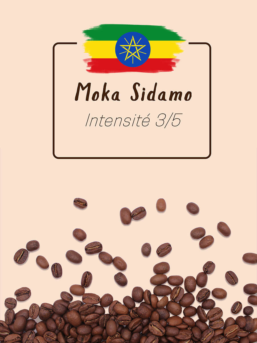 Café - Moka Sidamo