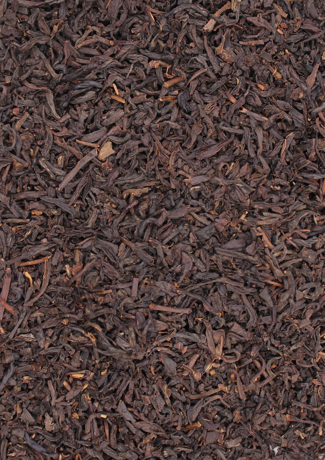 THE NOIR "Paul & Virginie"