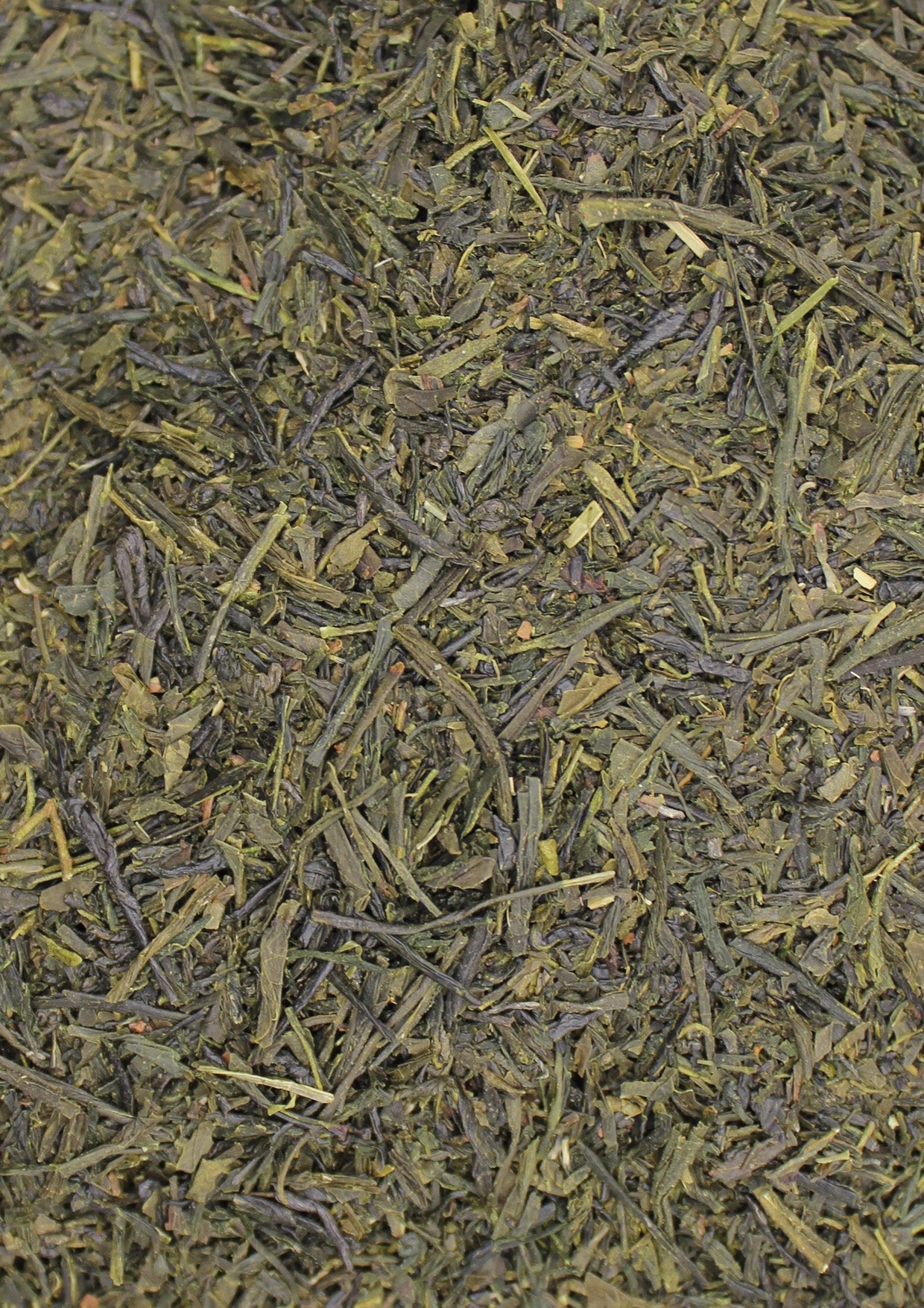 THE VERT "Sencha Fukuyu"