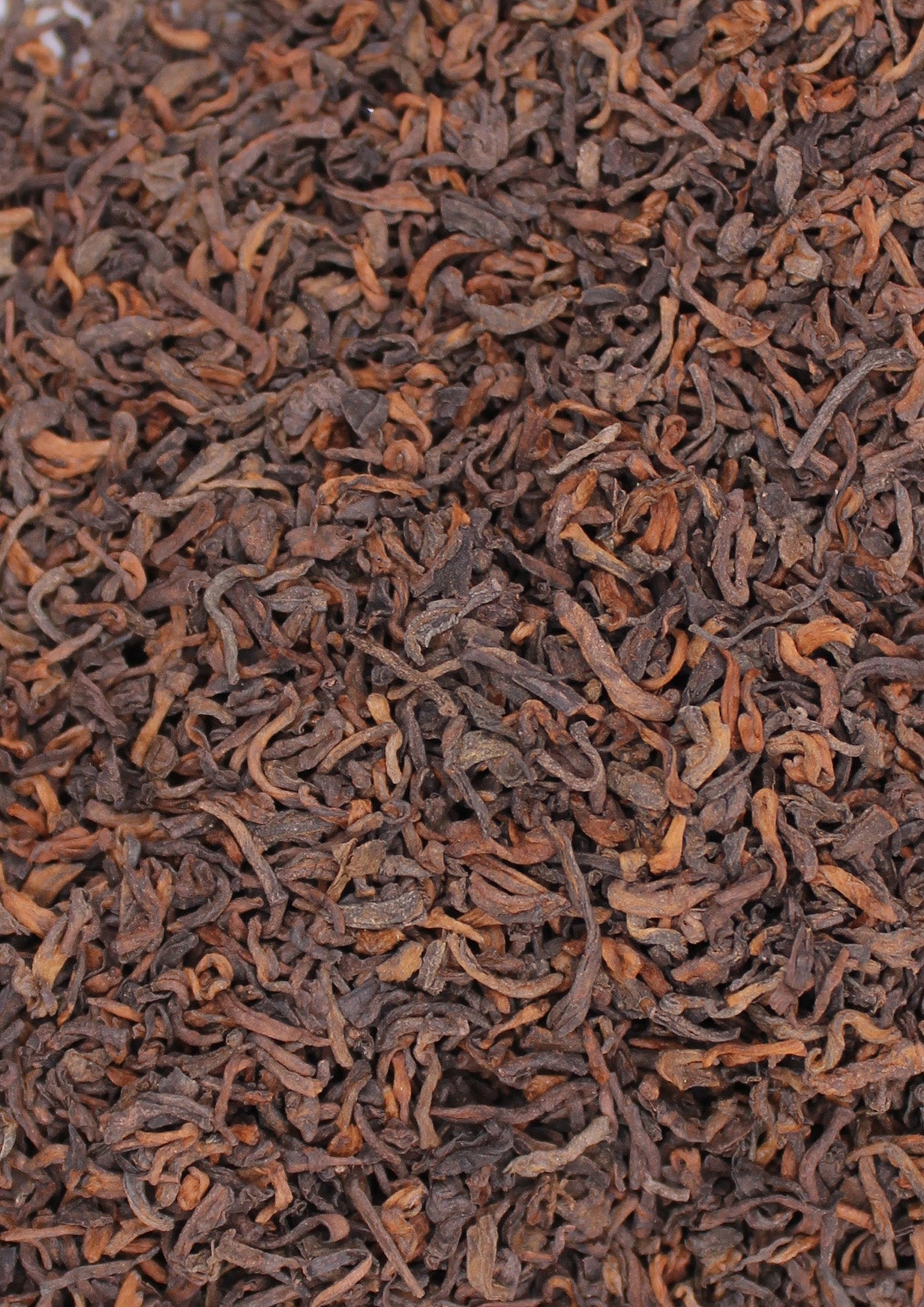 THE PU-ERH "Cang Yuan"