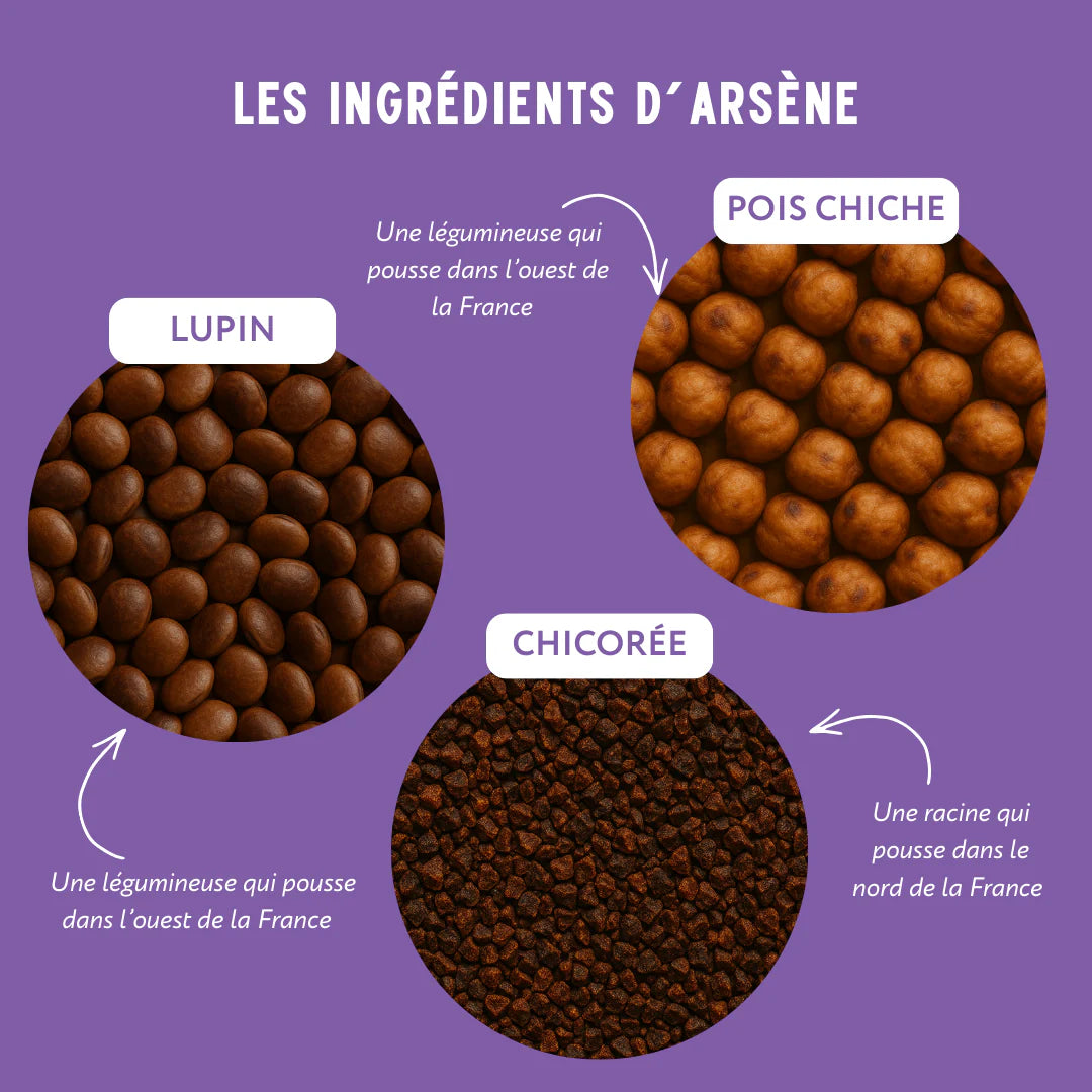 Arsène Tonique - avec caféine issue du guarana
