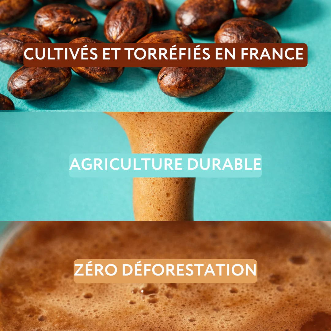 Arsène Classique - sans caféine