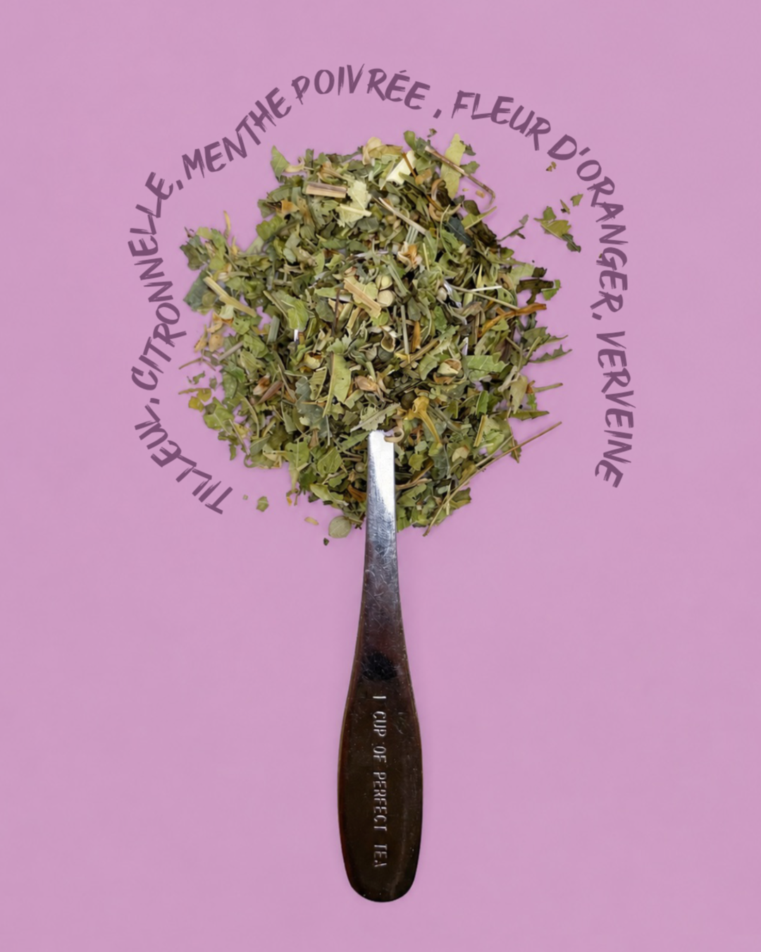 Tisane - Berger