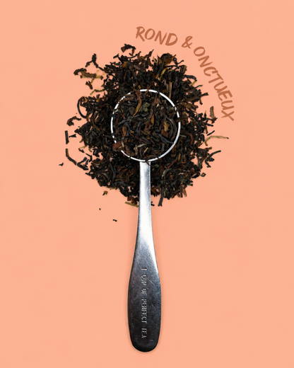 Thé noir - Darjeeling FOP 2nd Flush