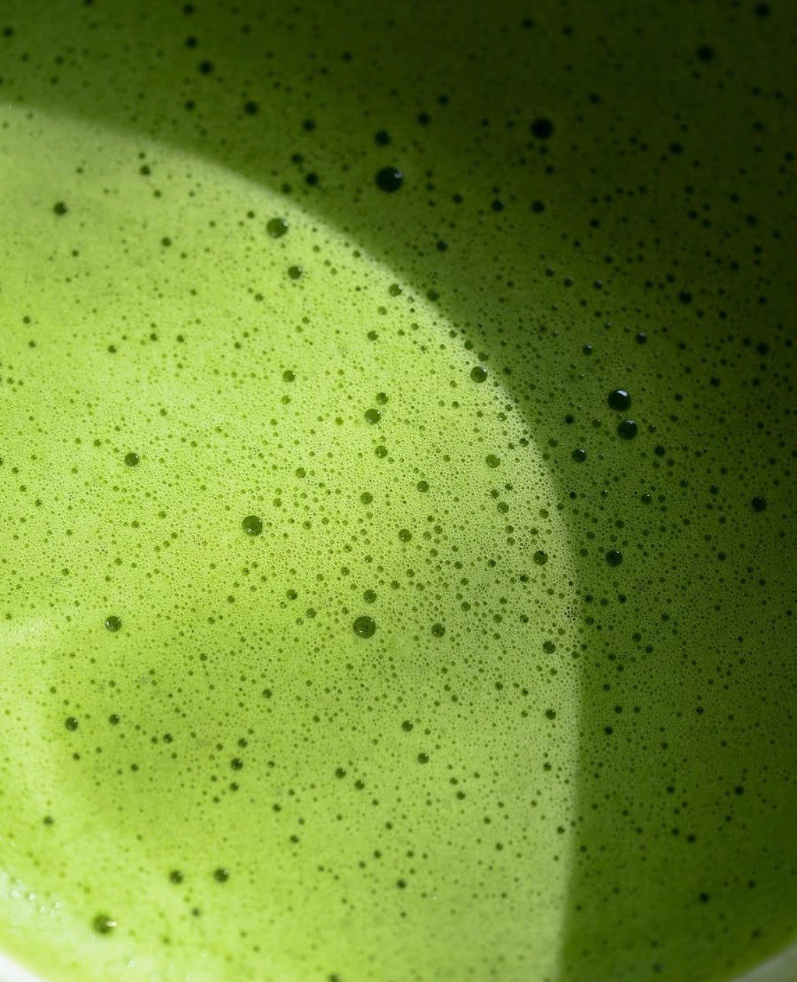 Matcha tradition Bio - Les Jardins de Gaïa