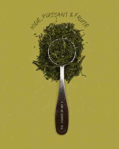 Thé vert - Sencha Fukuyu