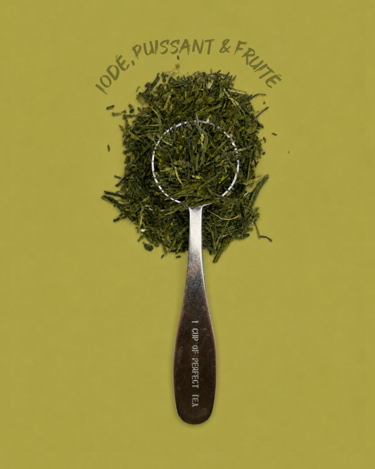 Thé vert - Sencha Fukuyu