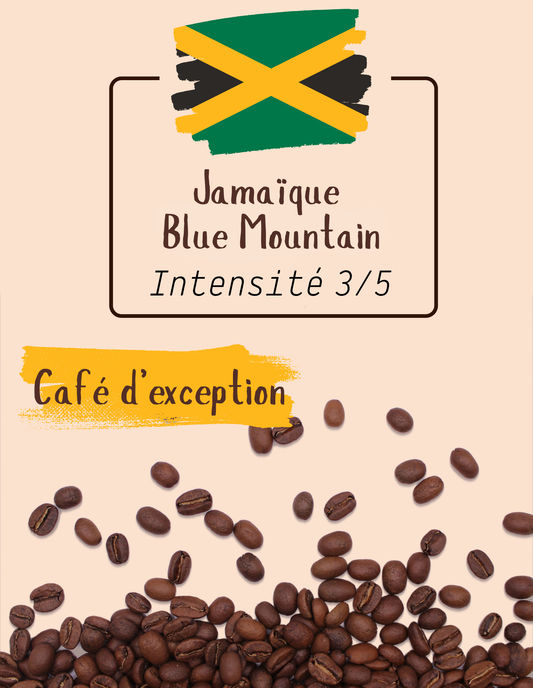Jamaïque Blue Mountain