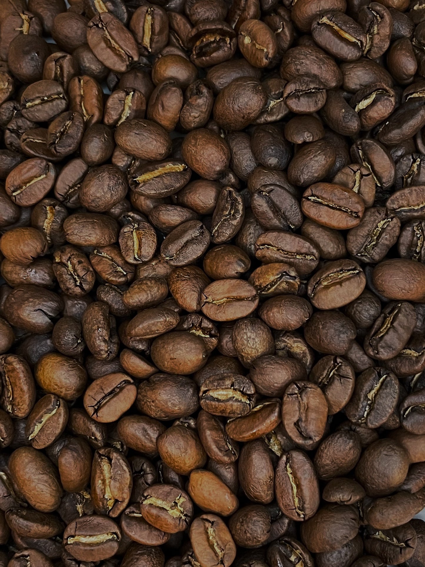 Honduras Lenca Bio
