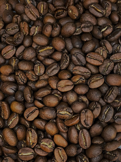 Honduras Lenca Bio