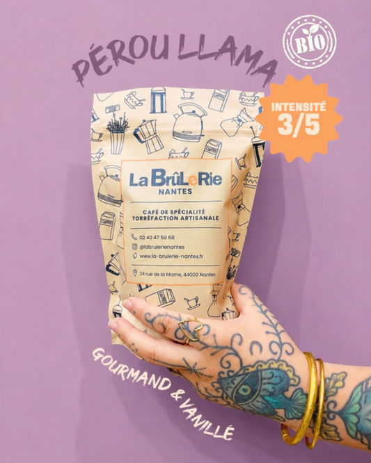 Pérou Llama Bio