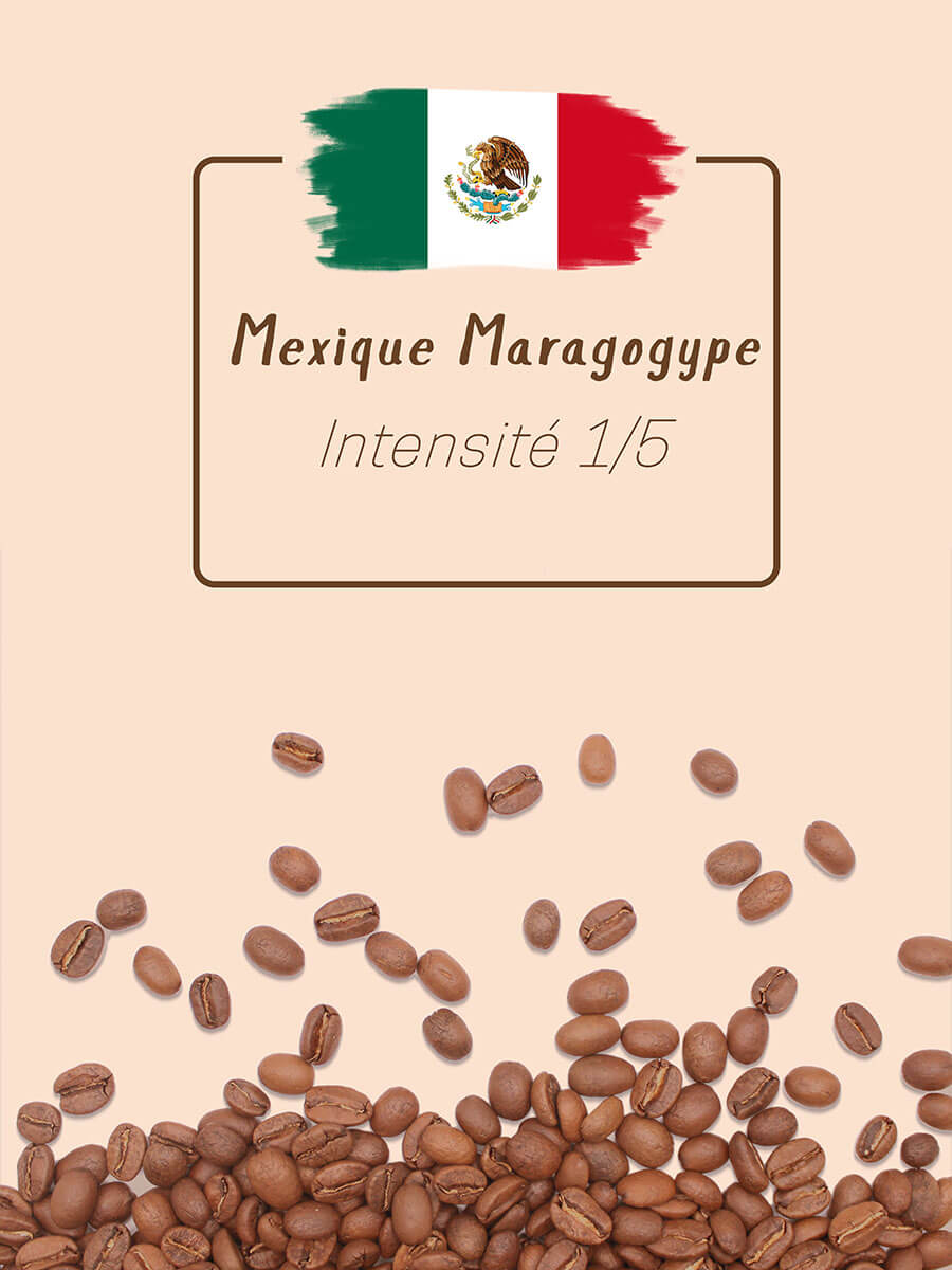 Café - Maragogype Mexique