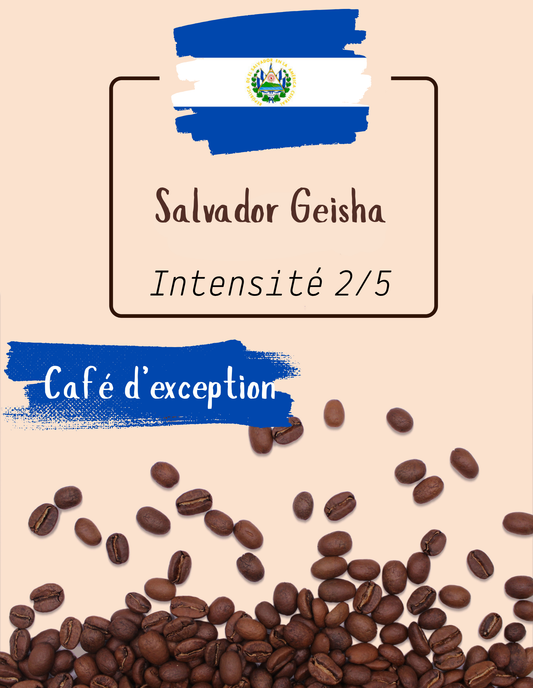 Salvador Geisha Honey